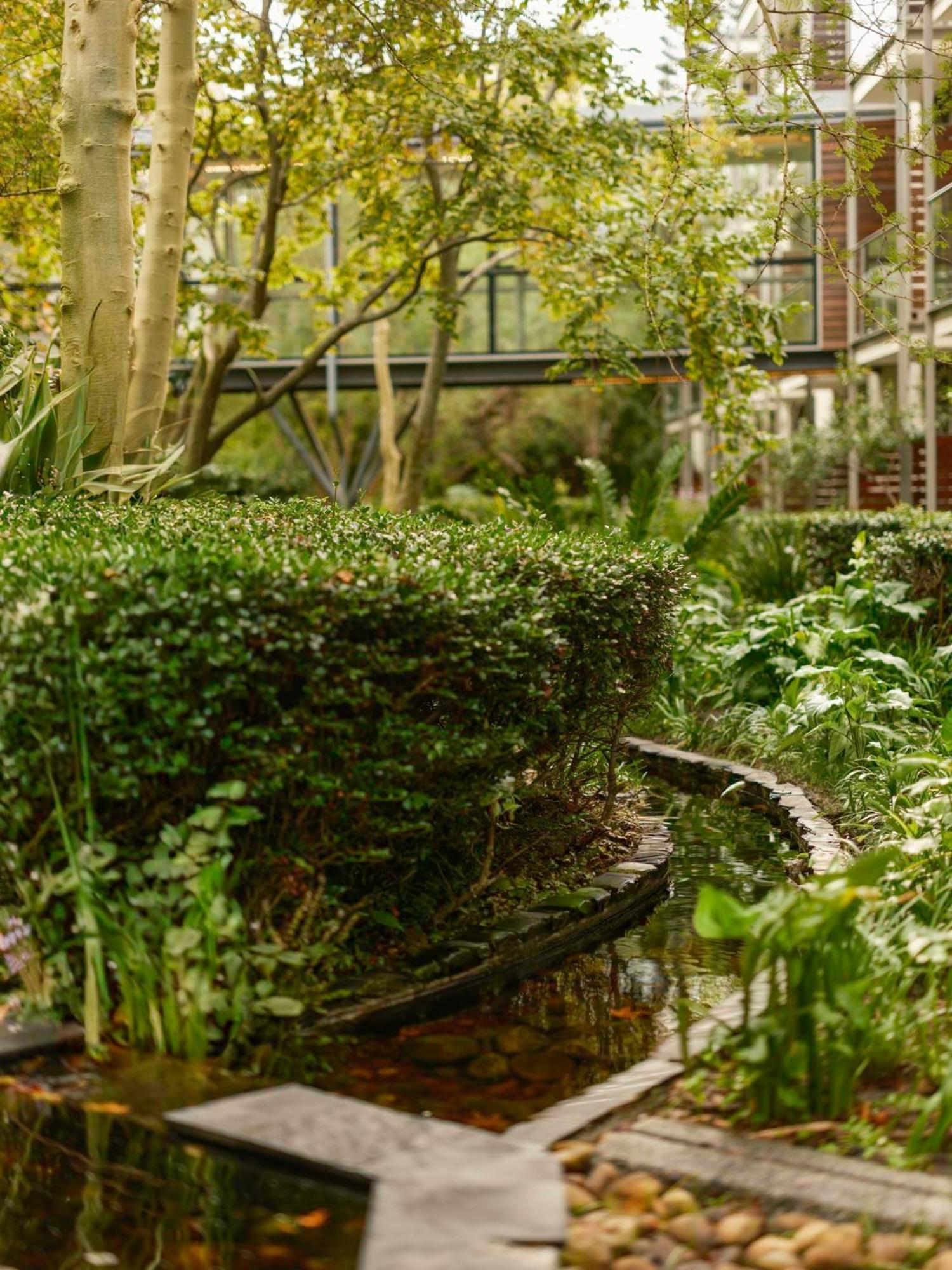 Vineyard Hotel Κέιπ Τάουν Εξωτερικό φωτογραφία